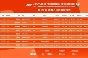 中甲第29轮裁判:邢琦吹重庆铜梁龙vs苏州东吴,5场比赛设有VAR